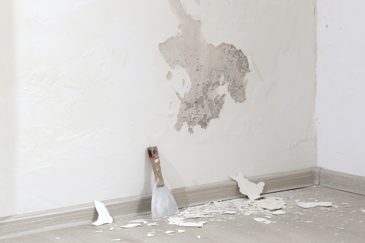 Como Diagnosticar Infiltrações ou Humidade nas Paredes: Um Guia Completo