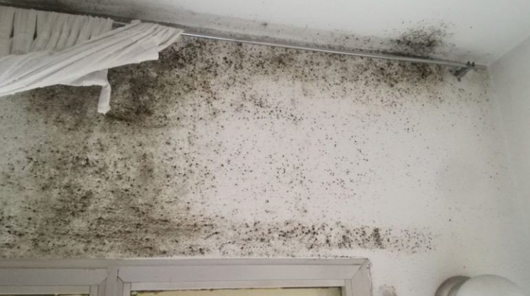 Diagnosticar Infiltrações ou Humidade nas Paredes: Um Guia Completo
